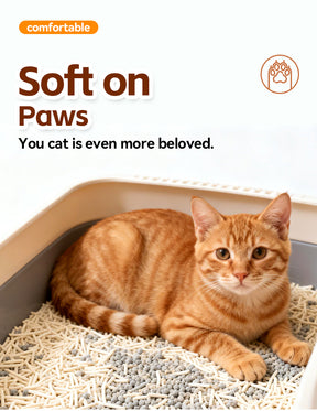 3 Pack POKPAW Tofu Cat Litter – 7 Liters Natural Soybean Cat Litter for Odor Control
